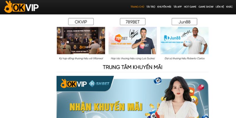 Một vài thông tin cơ bản về đơn vị OKVIP 